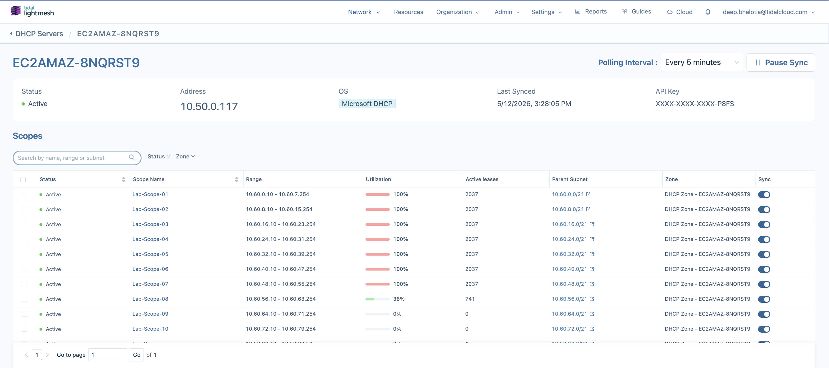 DHCP Scopes tab