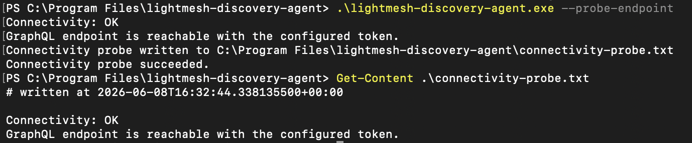 Windows Discovery Agent — DHCP Server Core Ping